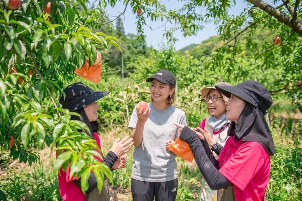 A woman picking peaches at Nakatsu Orchard during a peach picking experience in Soja, Okayama.
