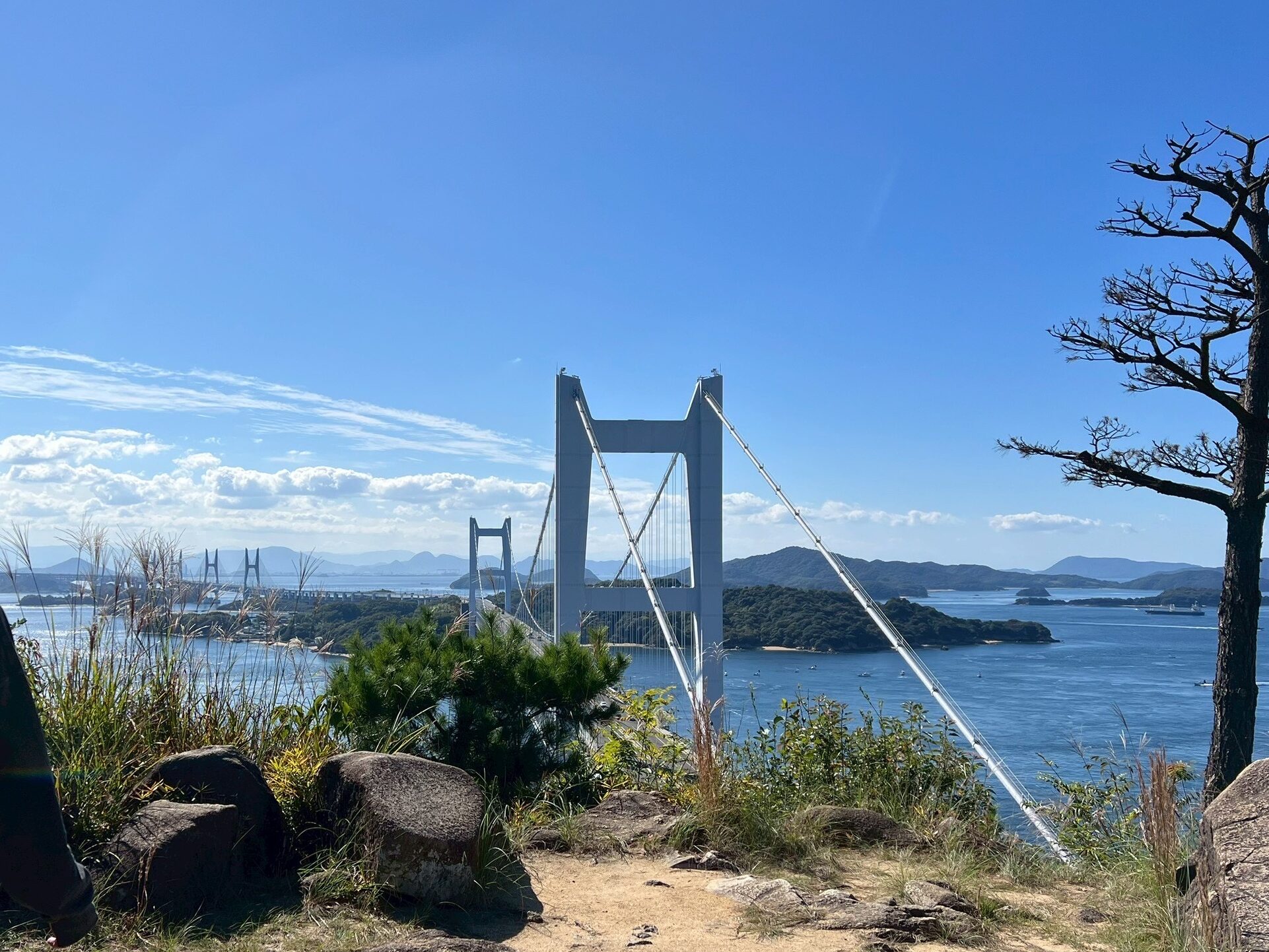 真上から見える瀬戸大橋